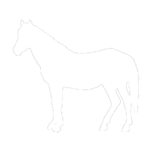 Cavalo