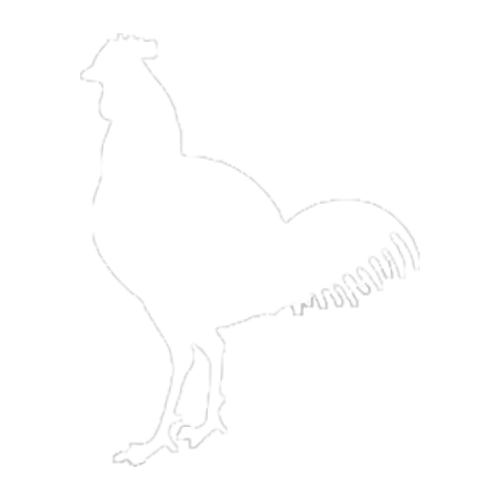 Galo