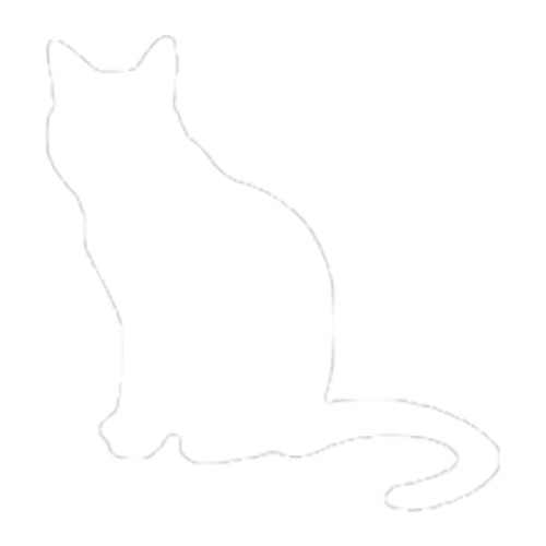 Gato