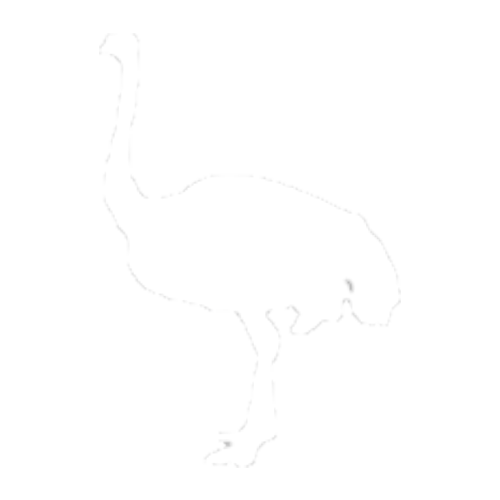 Avestruz