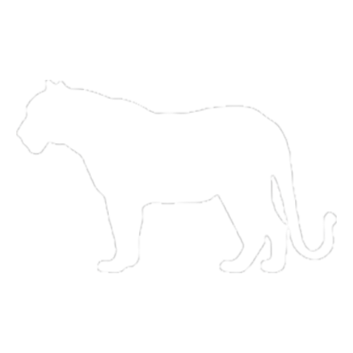 Tigre