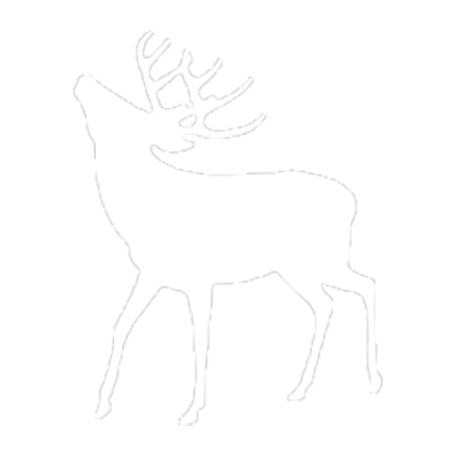 Veado