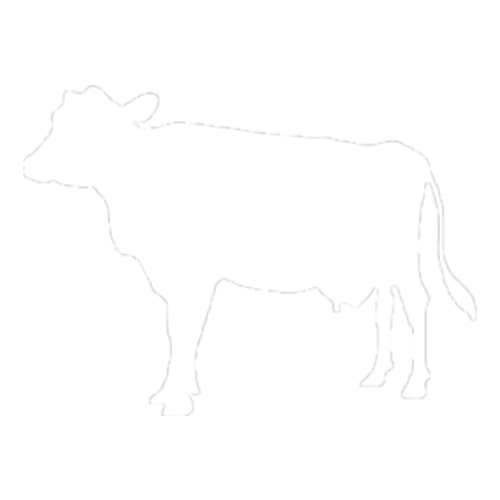Vaca