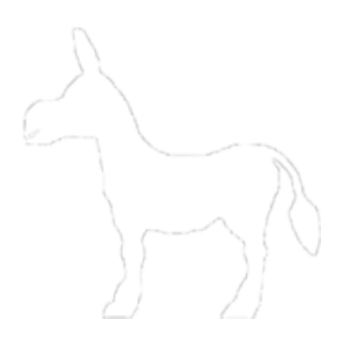 Burro