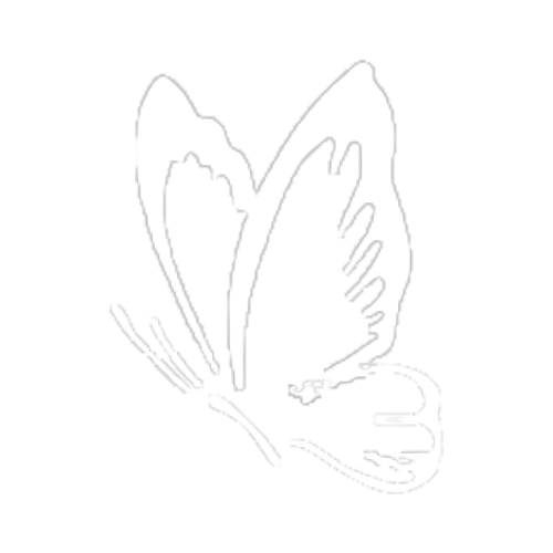 Borboleta