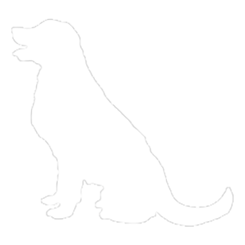 Cachorro