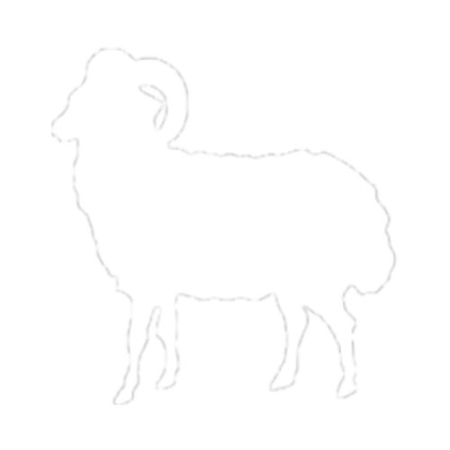 Carneiro